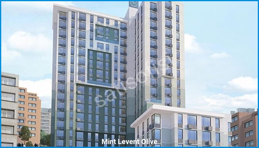 Mint Levent Olive görsel 3