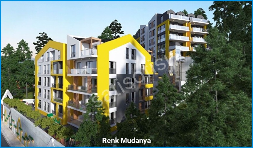 Renk Mudanya 2