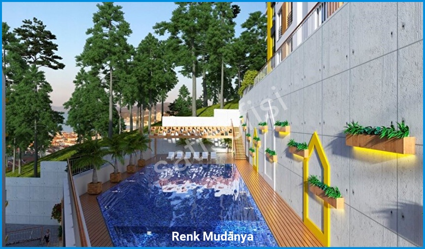 Renk Mudanya 4