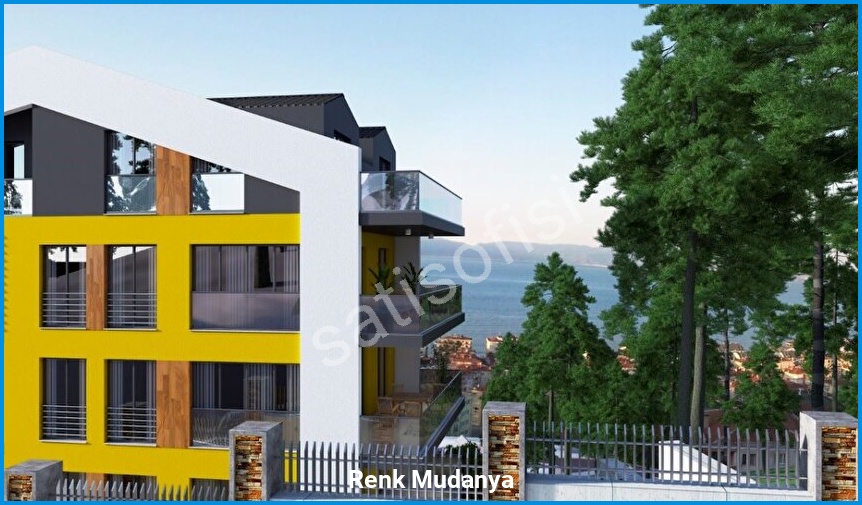 Renk Mudanya 5