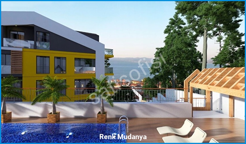 Renk Mudanya 6