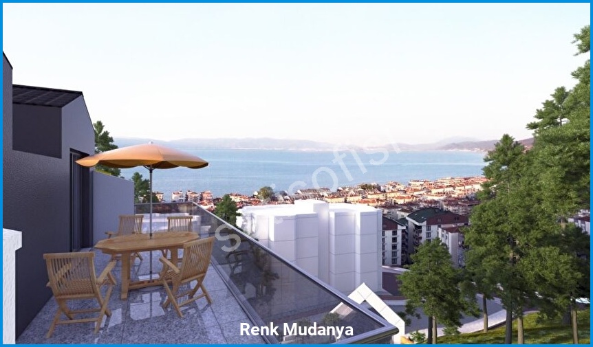 Renk Mudanya 7