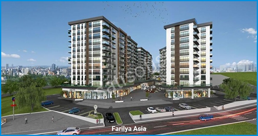 Farilya Asia