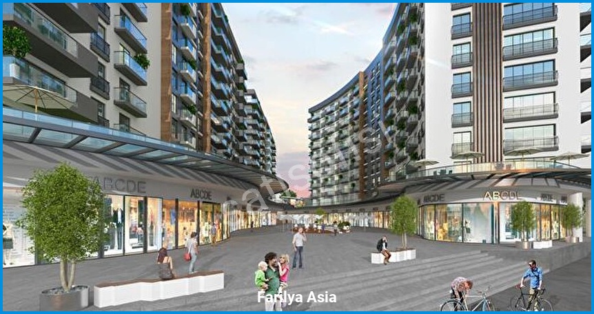 Farilya Asia 10