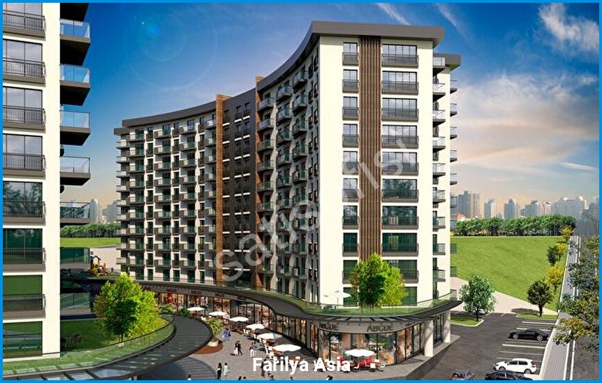 Farilya Asia 12
