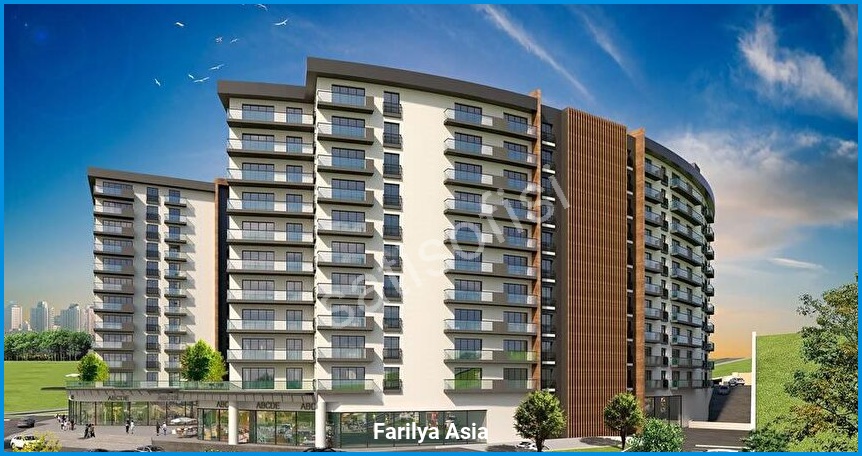 Farilya Asia 2