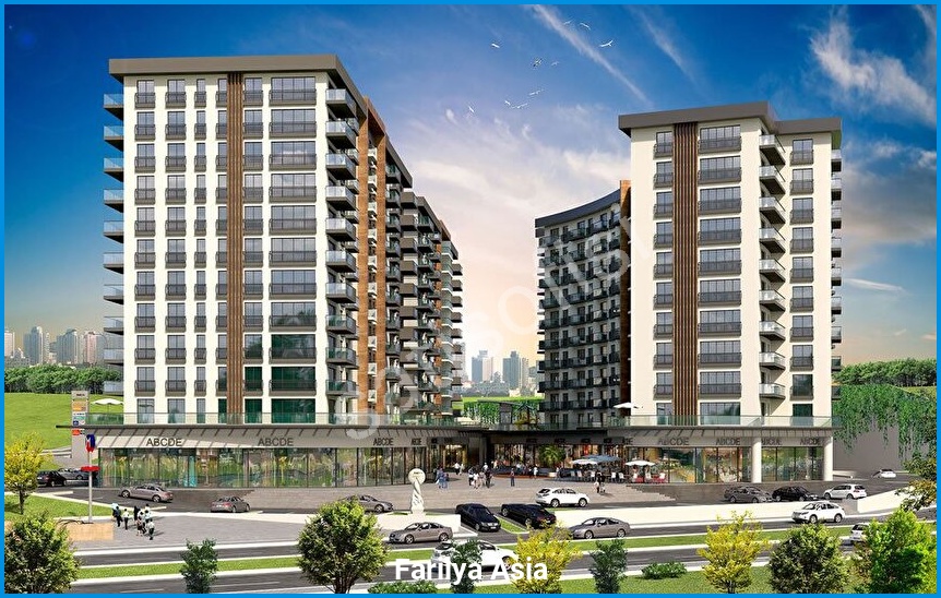 Farilya Asia 4