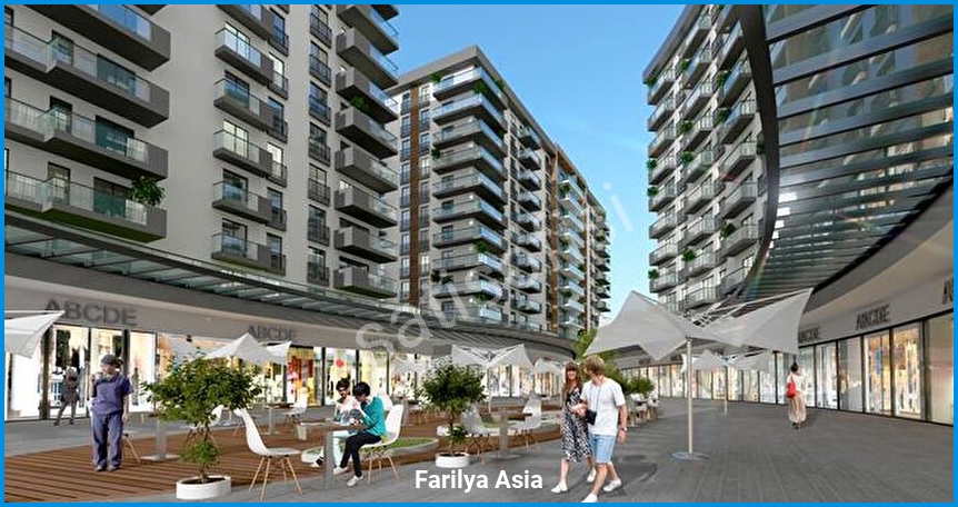 Farilya Asia 8