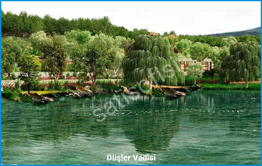 Düşler Vadisi 8